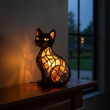 Chat Enchanté Minuit Radieux