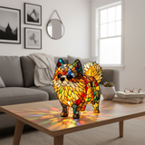 Vibrant Pomeranian Enchanté
