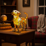 Labrador Transparent Enchanté