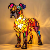 Boxer Splendide Enchanté