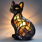 Chat Enchanté Minuit Radieux